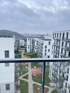 Central apartment Vilnius